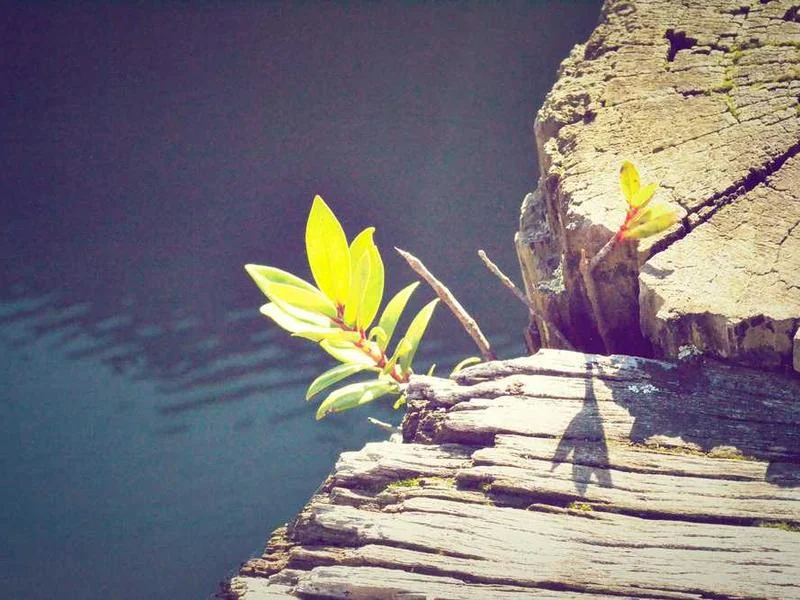 구리싱크대뚫음