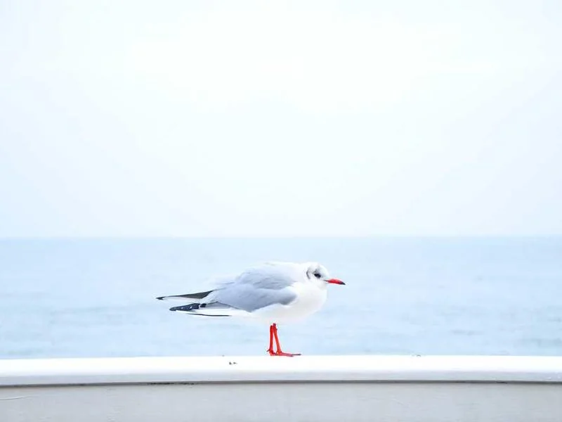 구리씽크대뚫음